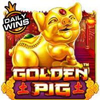 Golden Pig�