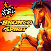 Bronco Spirit�